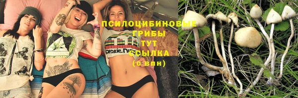 наркотики Вяземский