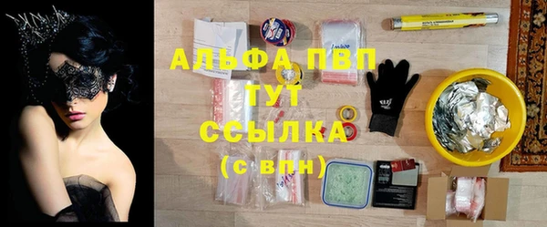 винт Горно-Алтайск