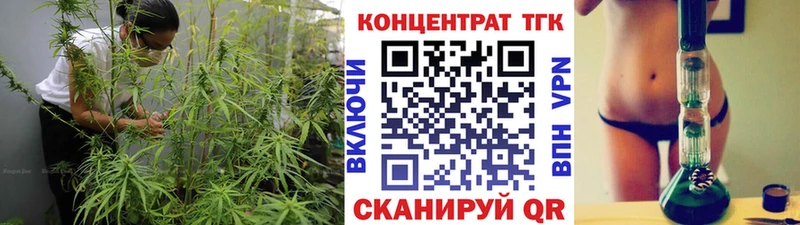 Купить закладки  Касли  ТГК Wax 