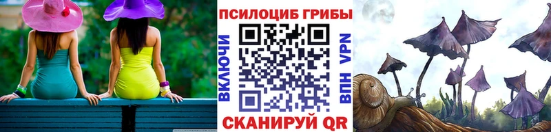 Купить закладки  Касли  Галлюциногенные грибы мицелий 